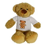 30cm Barney T-shirt Bears