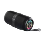 Prixton Hit Box 30W speaker