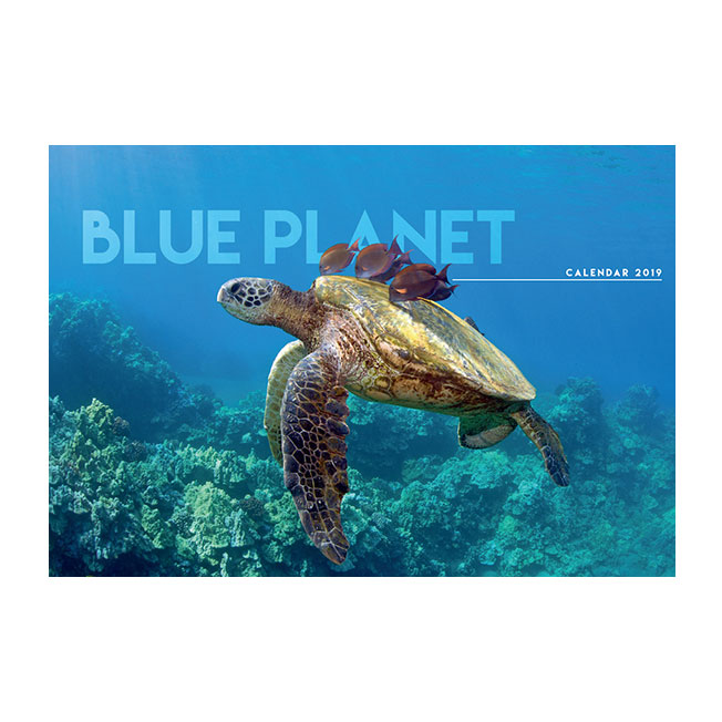 Blue Wall Calendars Calendars Redbows Ltd