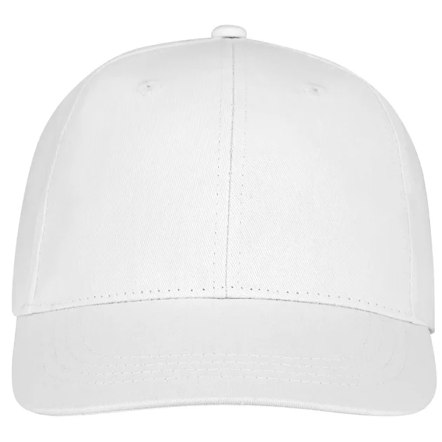 Ares 6 panel cap