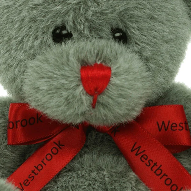 15cm Red Nose Bow Bears