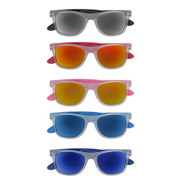Plastic Sunglasses with Coloured Arms