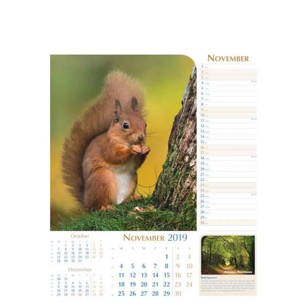 Notable Wildlife Wall Calendars