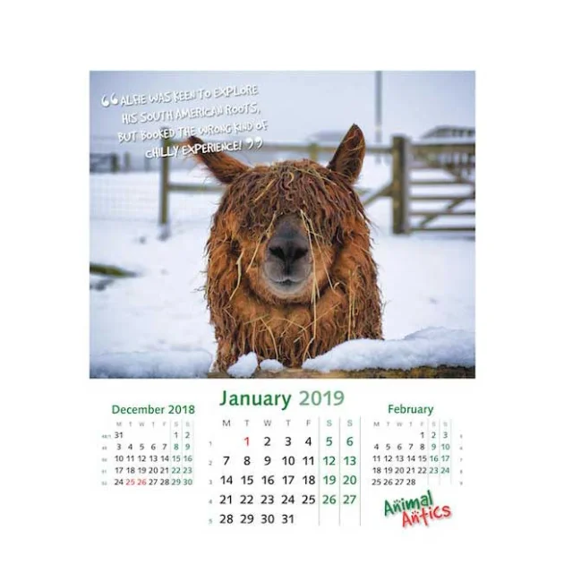 Animal Antics Wall Calendars