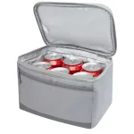 Arctic Zone® Repreve® 6-can recycled lunch cooler