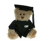 Windsor 20cm Graduation Bears