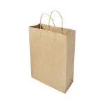 Large Paper Bags