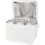 Spectrum 6-can recycled non-woven cooler bag 4L