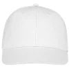 Ares 6 panel cap