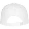 Ares 6 panel cap