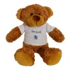 30cm Barney T-shirt Bears