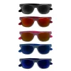 Plastic Sunglasses with Coloured Arms
