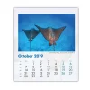 Blue Planet Mini Desk Calendars
