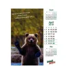 Animal Antics Wall Calendars