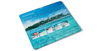 Armadillo Mouse Mats